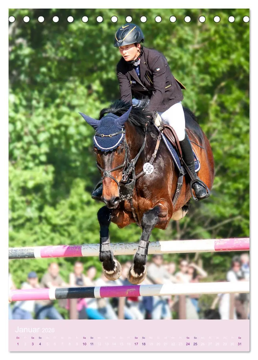 Bild: 9783516390094 | Springreiter in Aktion (Tischkalender 2026 DIN A5 hoch), CALVENDO...