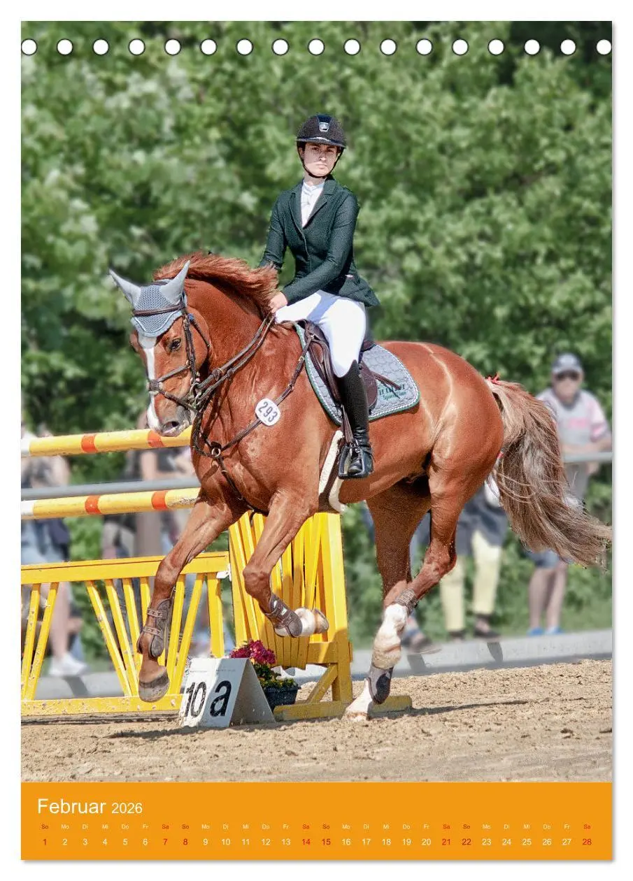 Bild: 9783516390094 | Springreiter in Aktion (Tischkalender 2026 DIN A5 hoch), CALVENDO...