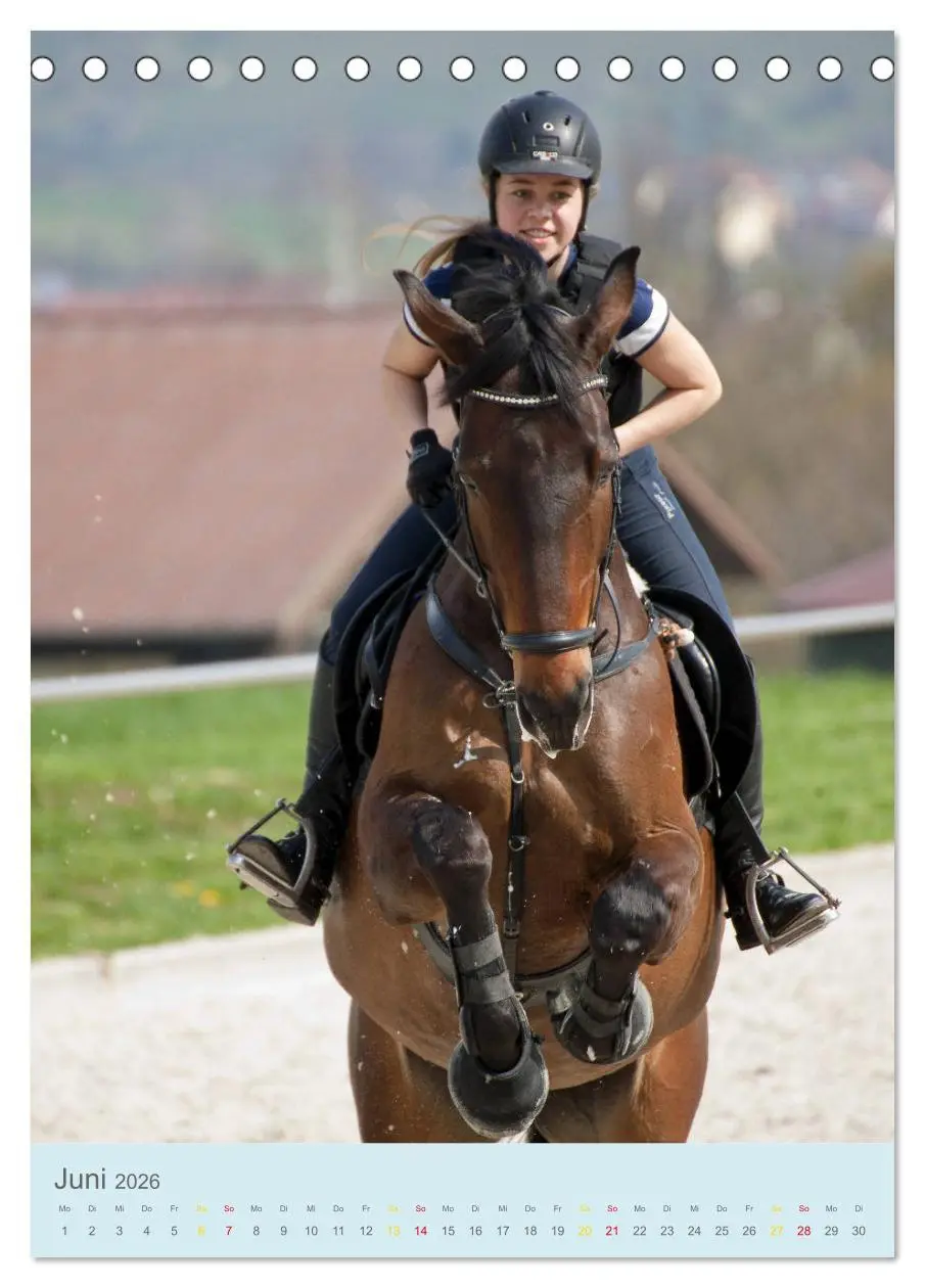 Bild: 9783516390094 | Springreiter in Aktion (Tischkalender 2026 DIN A5 hoch), CALVENDO...
