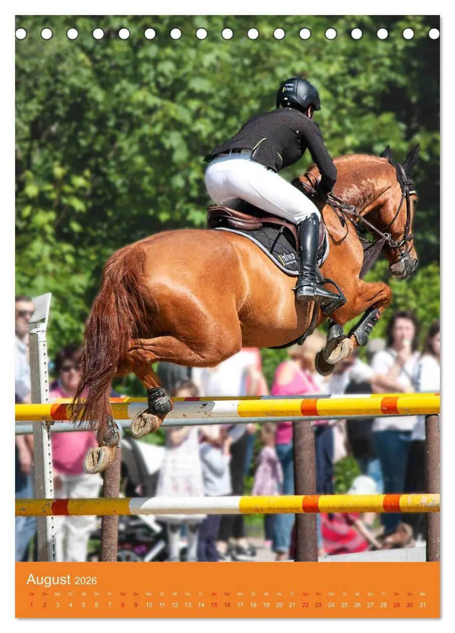 Bild: 9783516390094 | Springreiter in Aktion (Tischkalender 2026 DIN A5 hoch), CALVENDO...