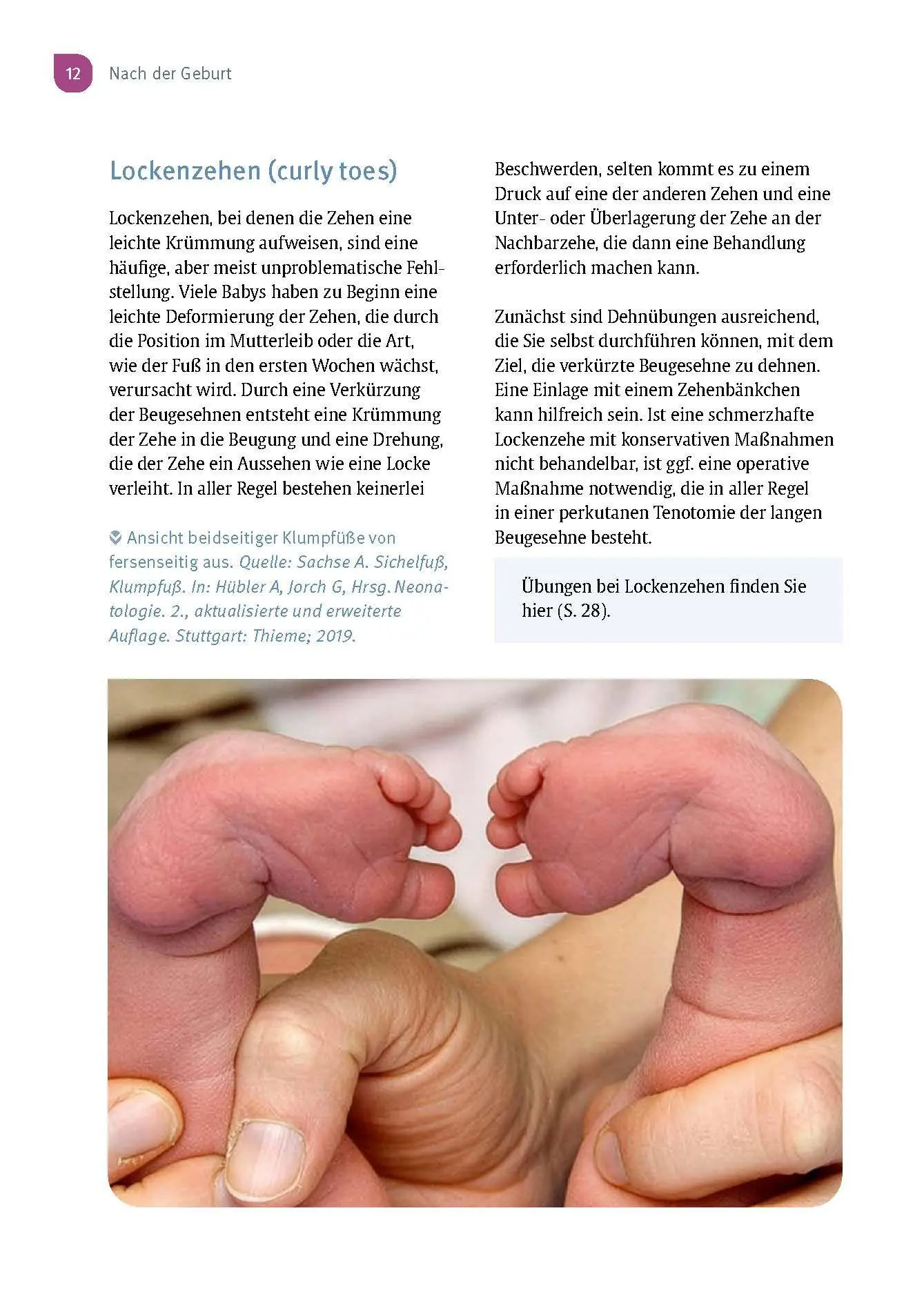 Bild: 9783432120294 | Aus der Praxis eines Kinderorthopäden | Sébastien Hagmann | Buch
