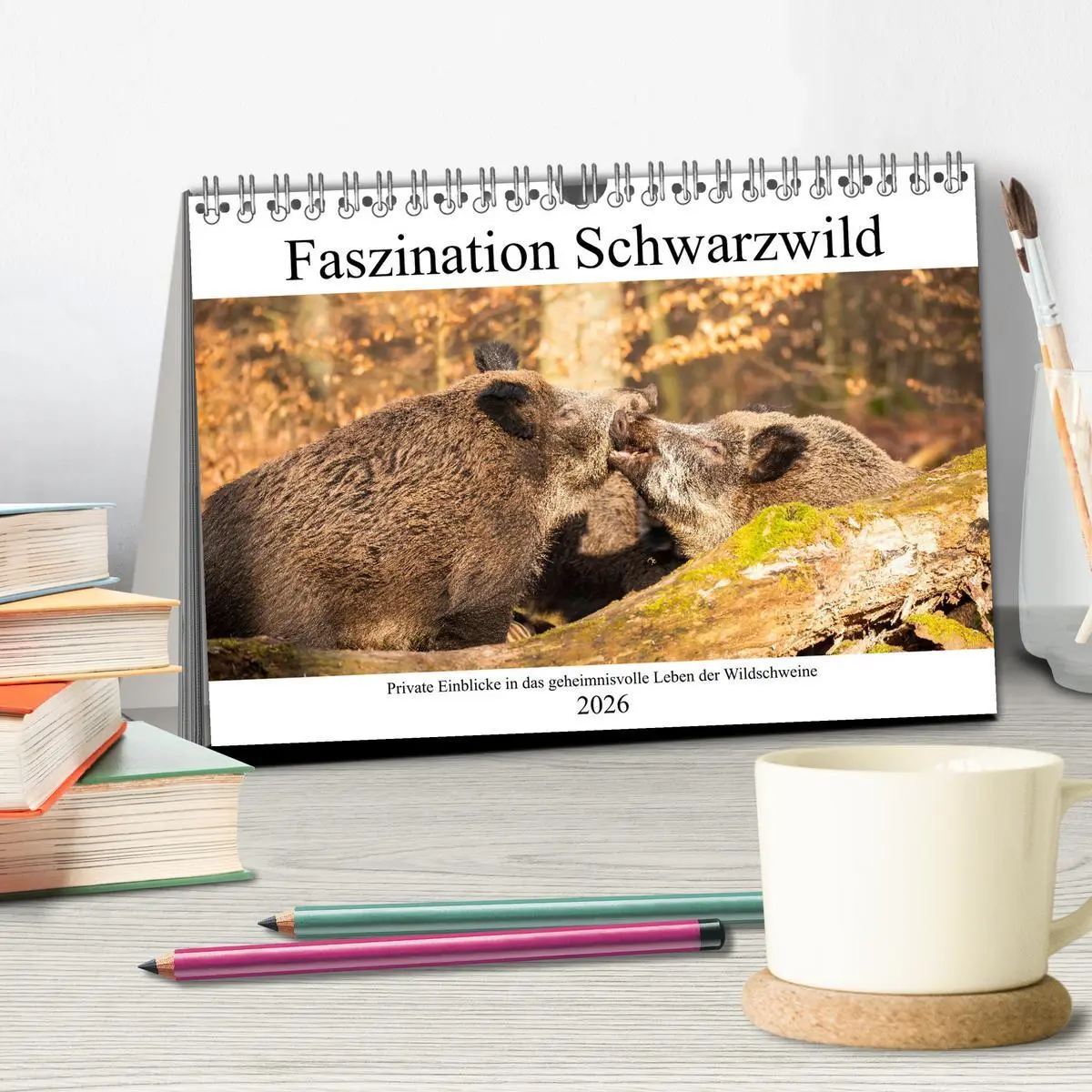Bild: 9783457660294 | Faszination Schwarzwild (Tischkalender 2026 DIN A5 quer), CALVENDO...