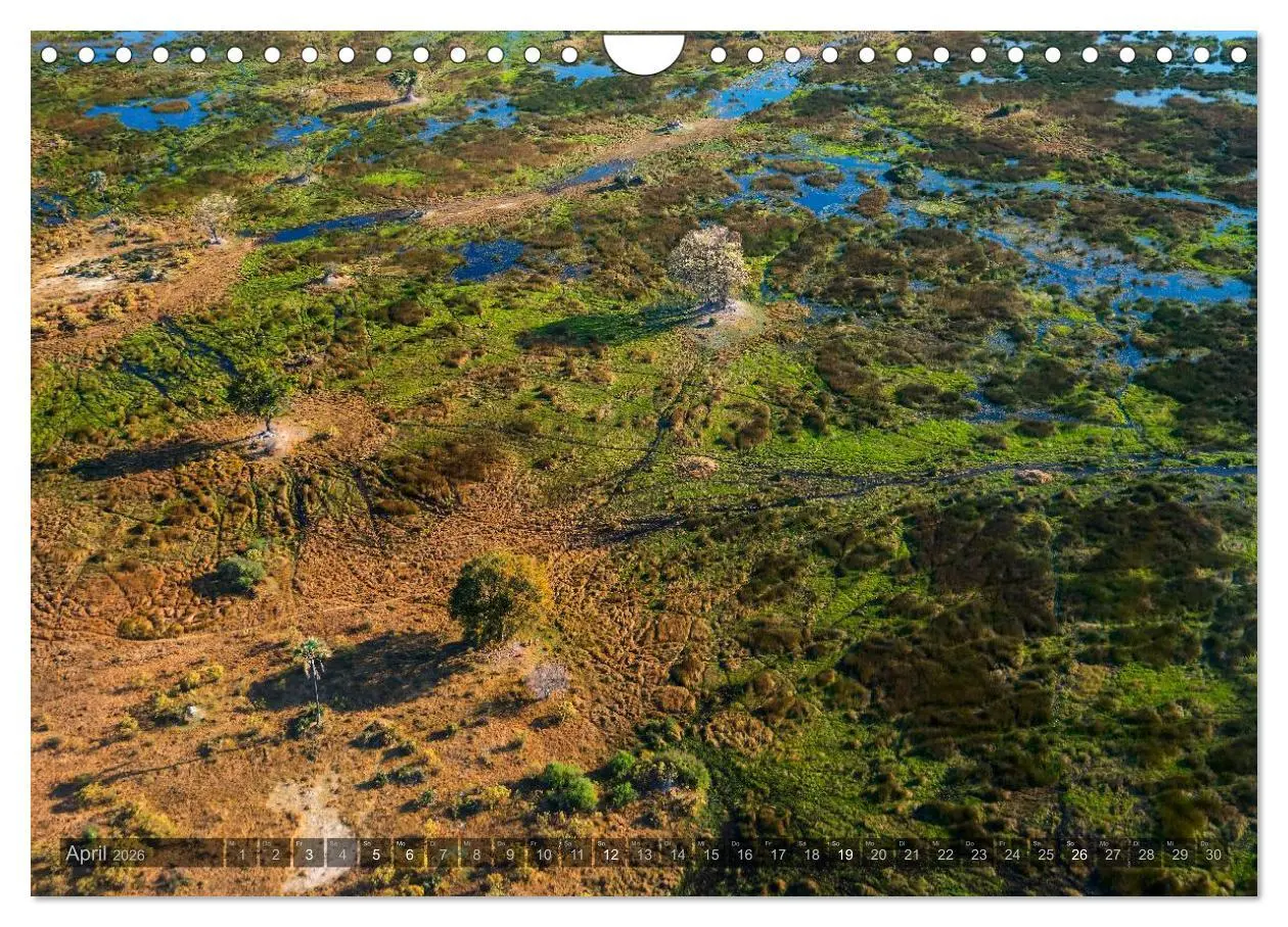 Bild: 9783516060294 | Botswana - Landschaft und Tierwelt (Wandkalender 2026 DIN A4 quer),...