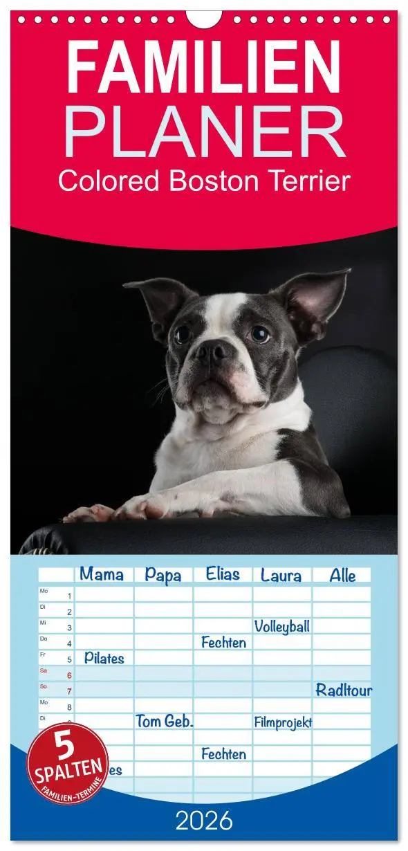 Cover: 9783516510294 | Familienplaner 2026 - Colored Boston Terrier 2026 mit 5 Spalten...