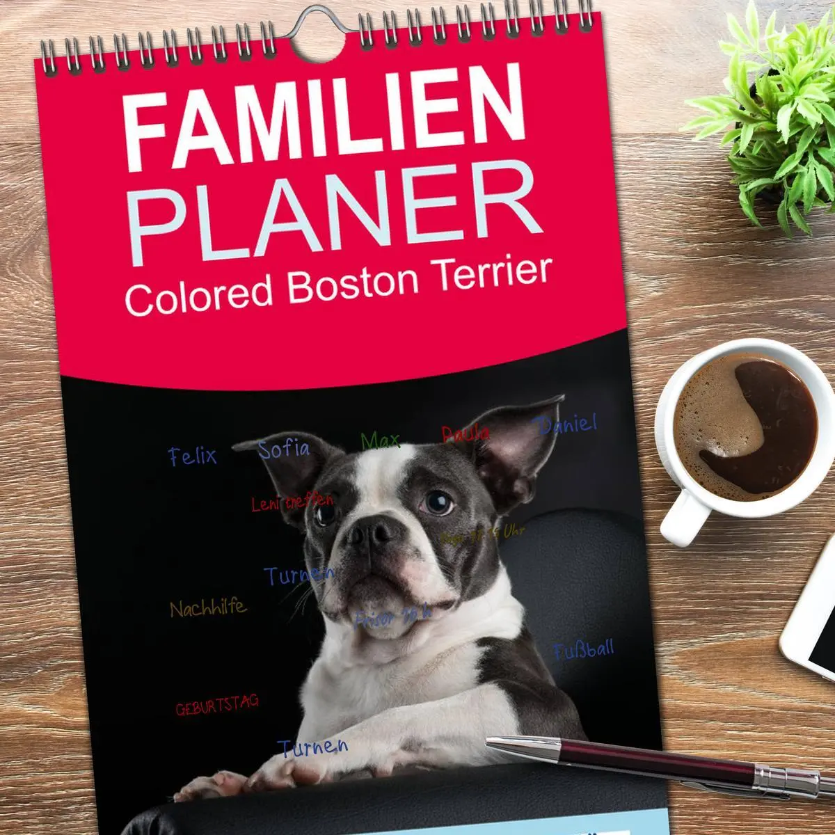 Bild: 9783516510294 | Familienplaner 2026 - Colored Boston Terrier 2026 mit 5 Spalten...