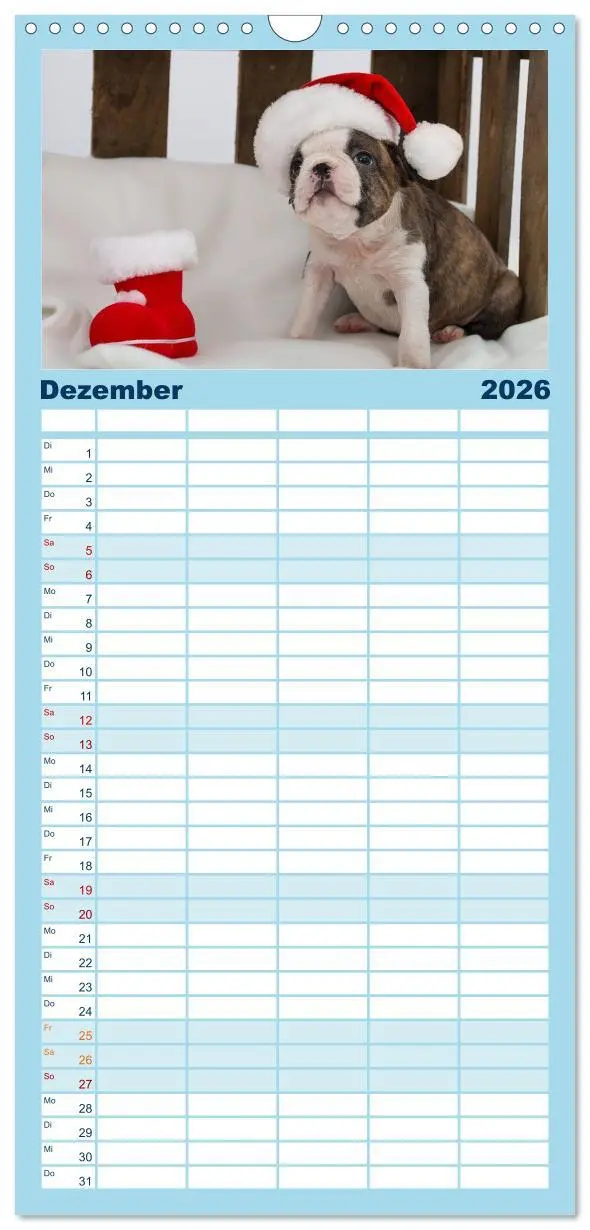 Bild: 9783516510294 | Familienplaner 2026 - Colored Boston Terrier 2026 mit 5 Spalten...