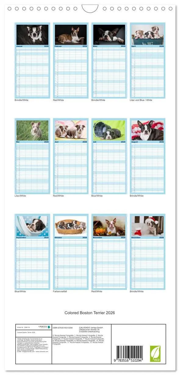 Bild: 9783516510294 | Familienplaner 2026 - Colored Boston Terrier 2026 mit 5 Spalten...