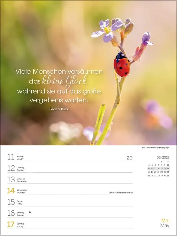 Bild: 9783731890294 | Glücksmomente 2026 | Verlag Korsch | Kalender | 54 S. | Deutsch | 2026