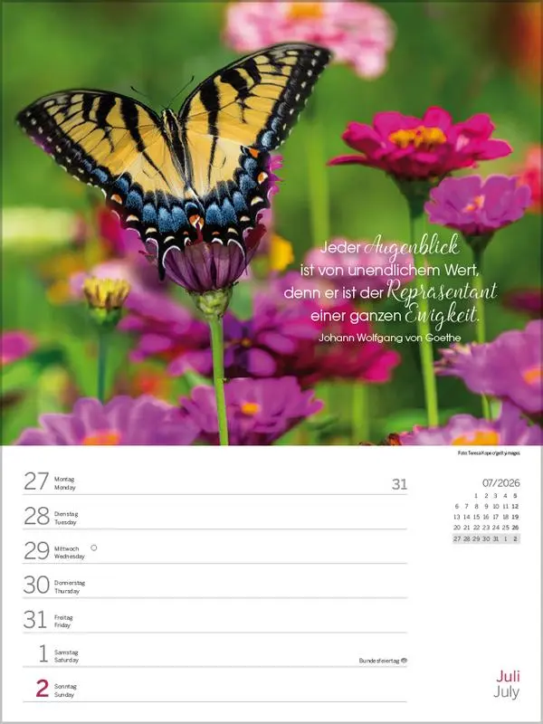 Bild: 9783731890294 | Glücksmomente 2026 | Verlag Korsch | Kalender | 54 S. | Deutsch | 2026