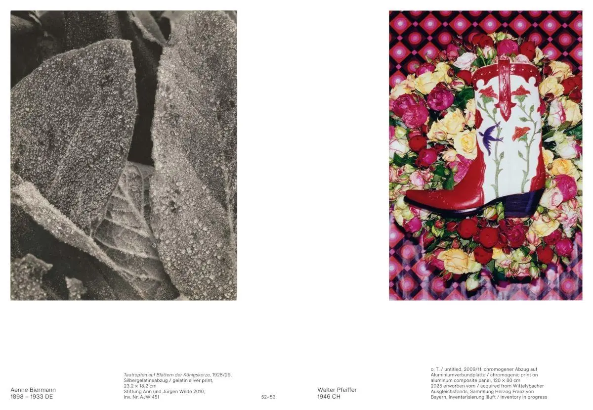 Bild: 9783775760294 | On View | Simone Förster (u. a.) | Taschenbuch | 176 S. | Deutsch