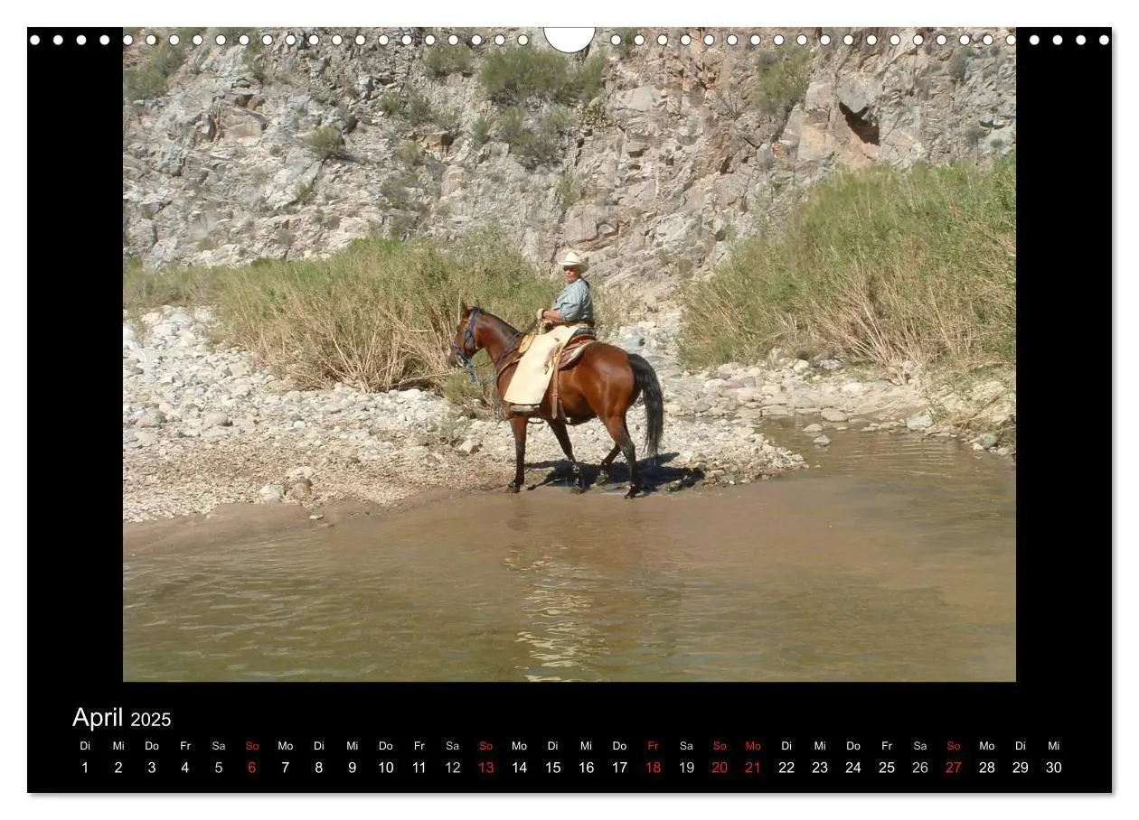 Bild: 9783435630394 | City Slickers - Ranchurlaub (Wandkalender 2025 DIN A3 quer),...