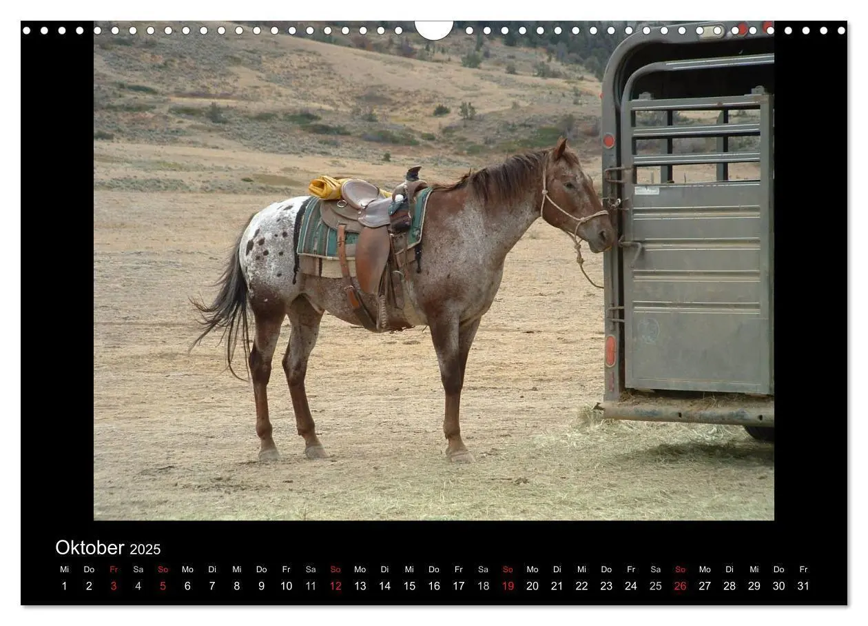 Bild: 9783435630394 | City Slickers - Ranchurlaub (Wandkalender 2025 DIN A3 quer),...