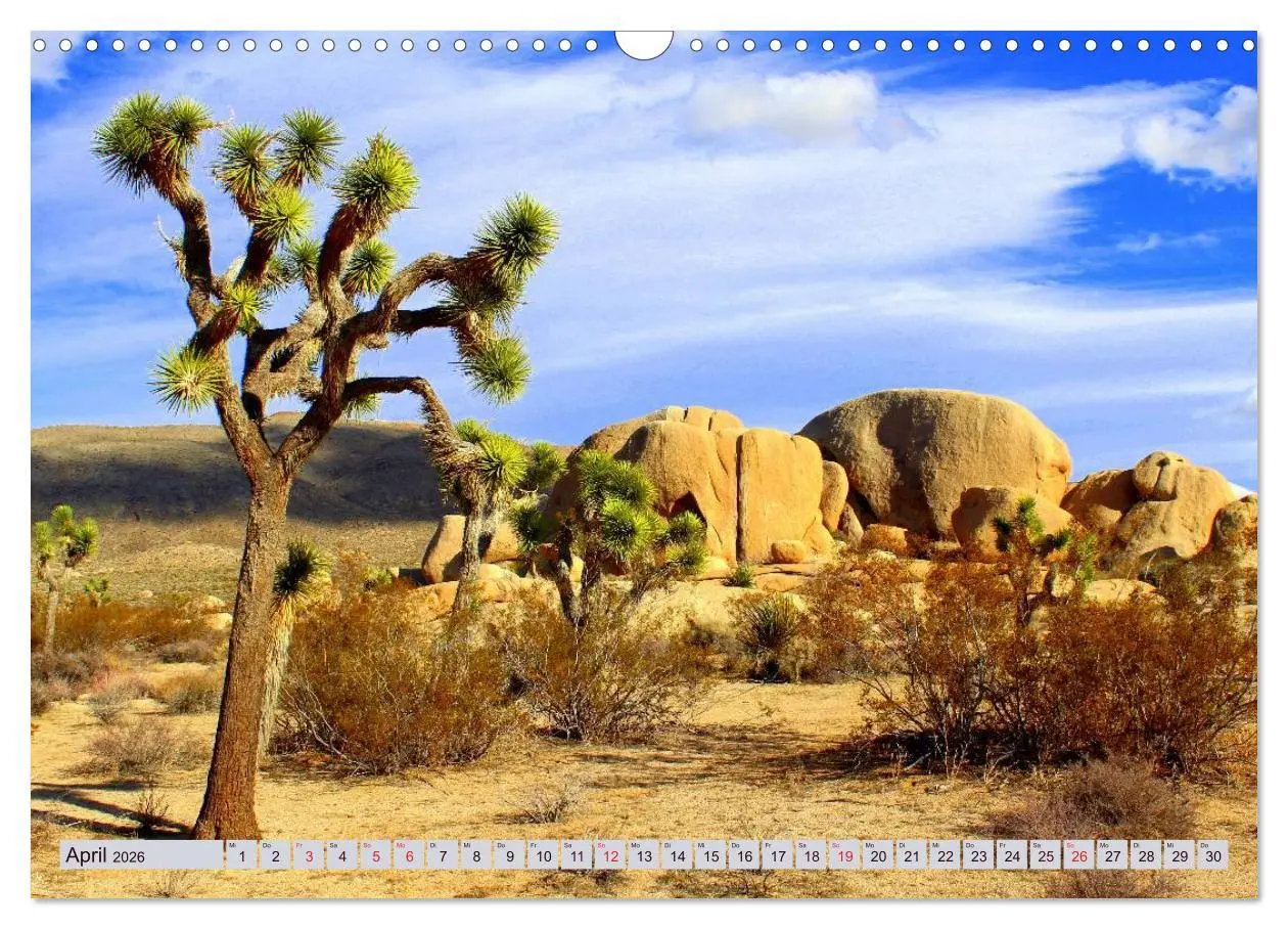 Bild: 9783457960394 | Der Südwesten der USA. Freiheit und Weite (Wandkalender 2026 DIN A3...