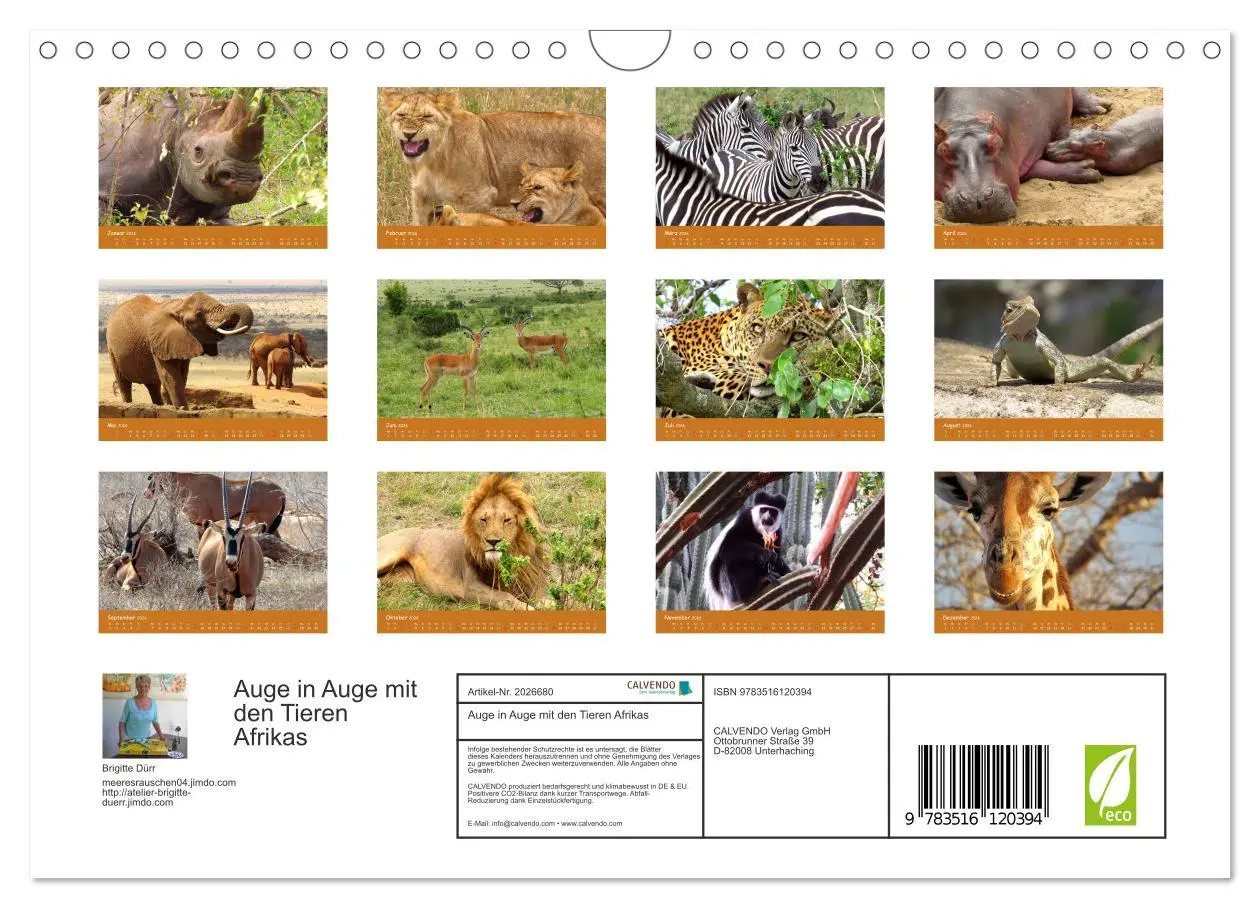 Bild: 9783516120394 | Auge in Auge mit den Tieren Afrikas (Wandkalender 2026 DIN A4...