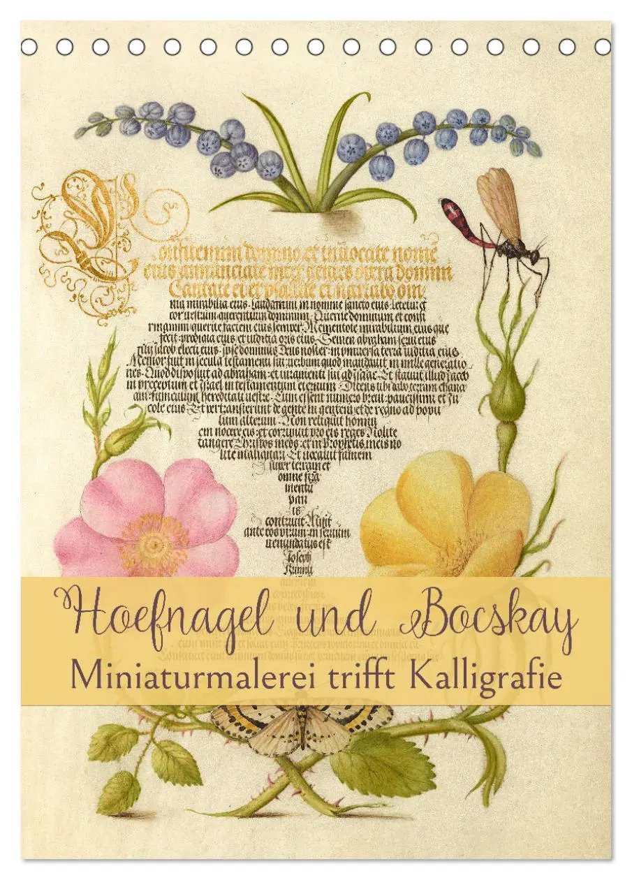 Cover: 9783516360394 | Hoefnagel und Bocskay - Miniaturmalerei trifft Kalligrafie...