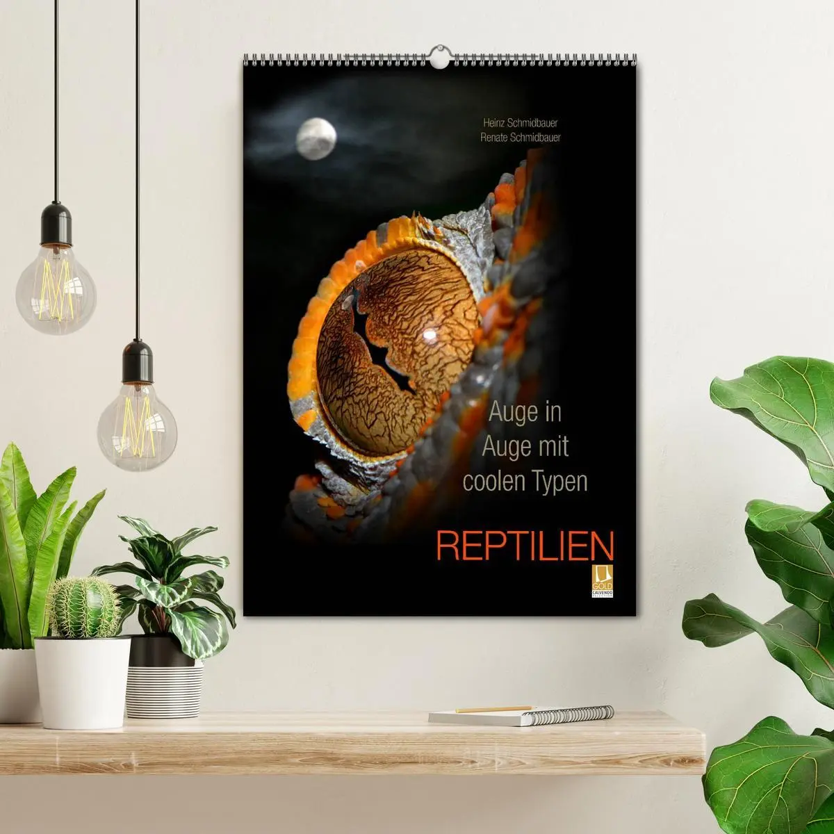 Bild: 9783516430394 | Auge in Auge mit coolen Typen - REPTILIEN (Wandkalender 2026 DIN A2...