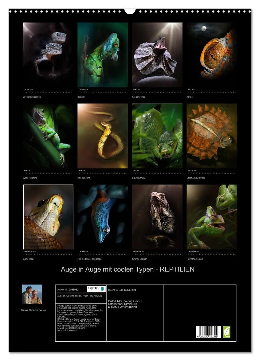 Bild: 9783516430394 | Auge in Auge mit coolen Typen - REPTILIEN (Wandkalender 2026 DIN A2...