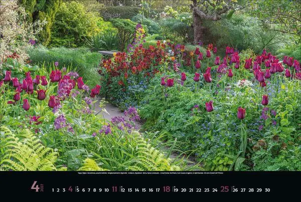 Bild: 9783819300394 | Magische Gärten 2027 | Verlag Korsch | Kalender | 14 S. | Deutsch