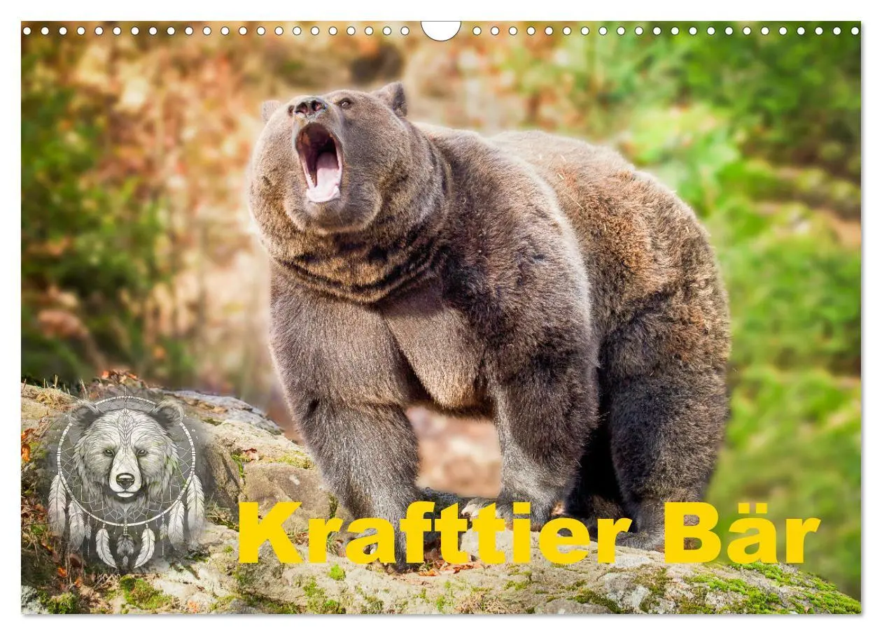 Cover: 9783457260494 | Krafttier Bär (Wandkalender 2026 DIN A3 quer), CALVENDO Monatskalender