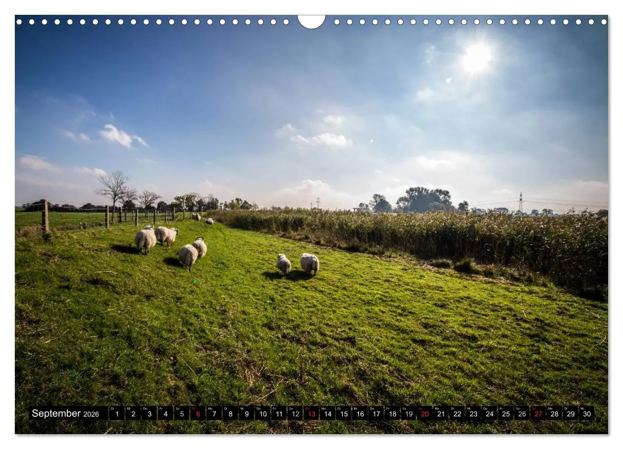 Bild: 9783516110494 | Schönes Ostfriesland (Wandkalender 2026 DIN A3 quer), CALVENDO...