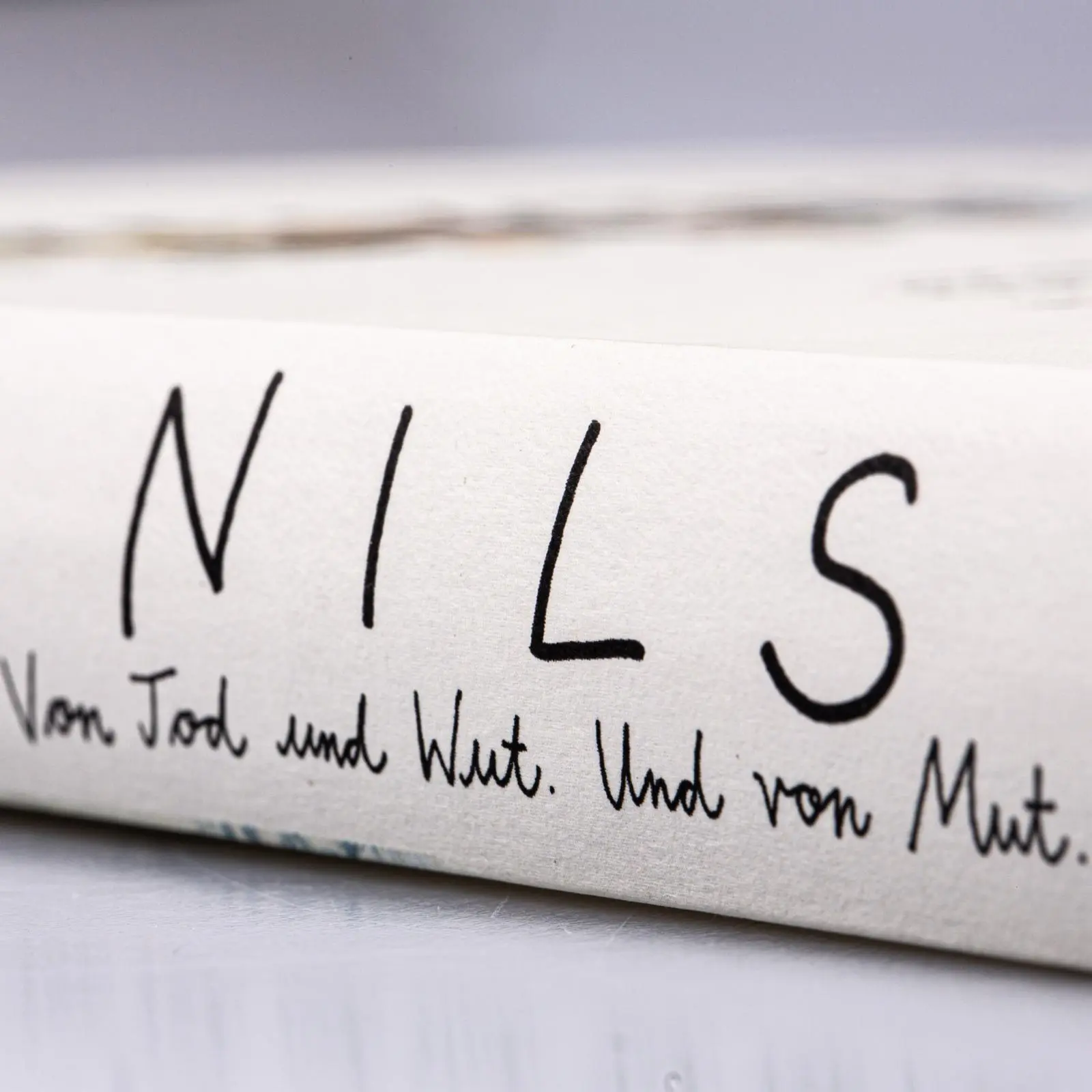 Bild: 9783551760494 | NILS | Von Tod und Wut. Und von Mut. | Melanie Garanin | Buch | 200 S.