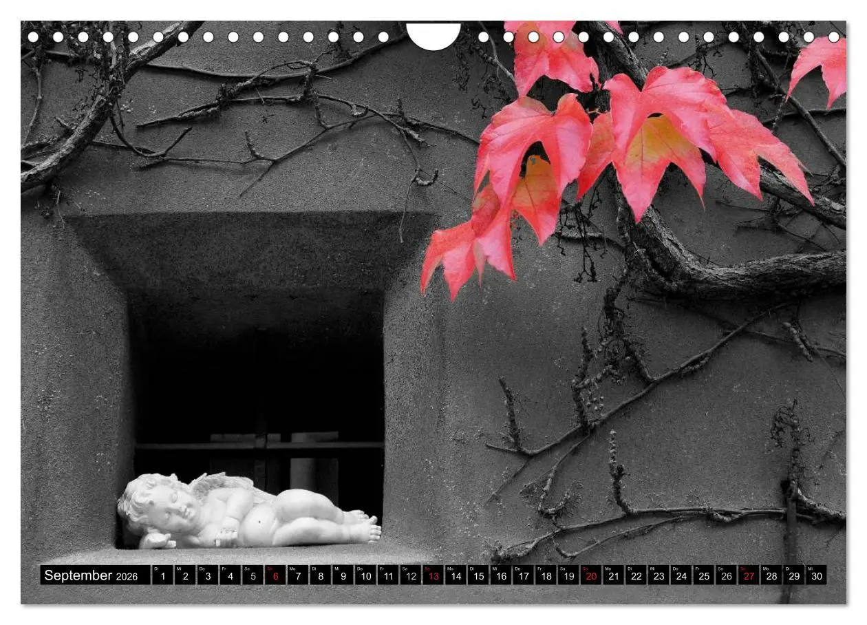 Bild: 9783516100594 | Schwarz - Weiß - Rot (Wandkalender 2026 DIN A4 quer), CALVENDO...