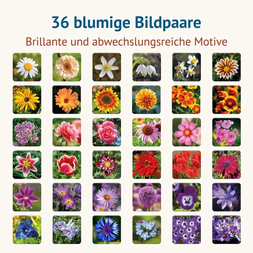 Bild: 4260472860694 | Blumig - Memospiel | Tanja Philippeit | Spiel | Deutsch | 2024