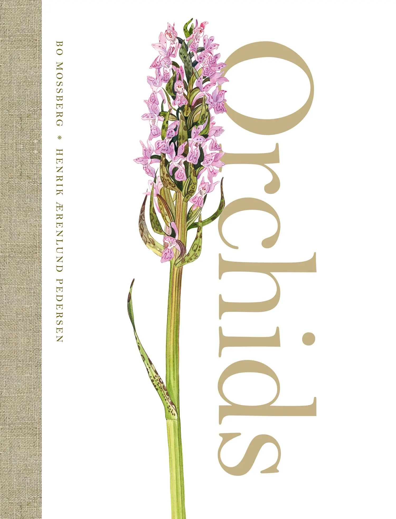 Cover: 9780008210694 | Orchids | Bo Mossberg (u. a.) | Buch | Gebunden | Englisch | 2017