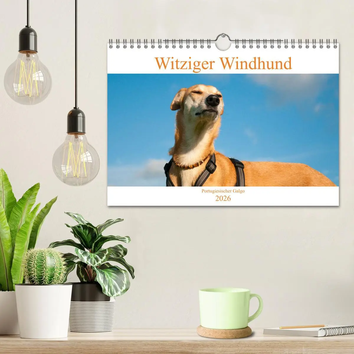 Bild: 9783457620694 | Witziger Windhund - Portugiesischer Galgo (Wandkalender 2026 DIN A4...