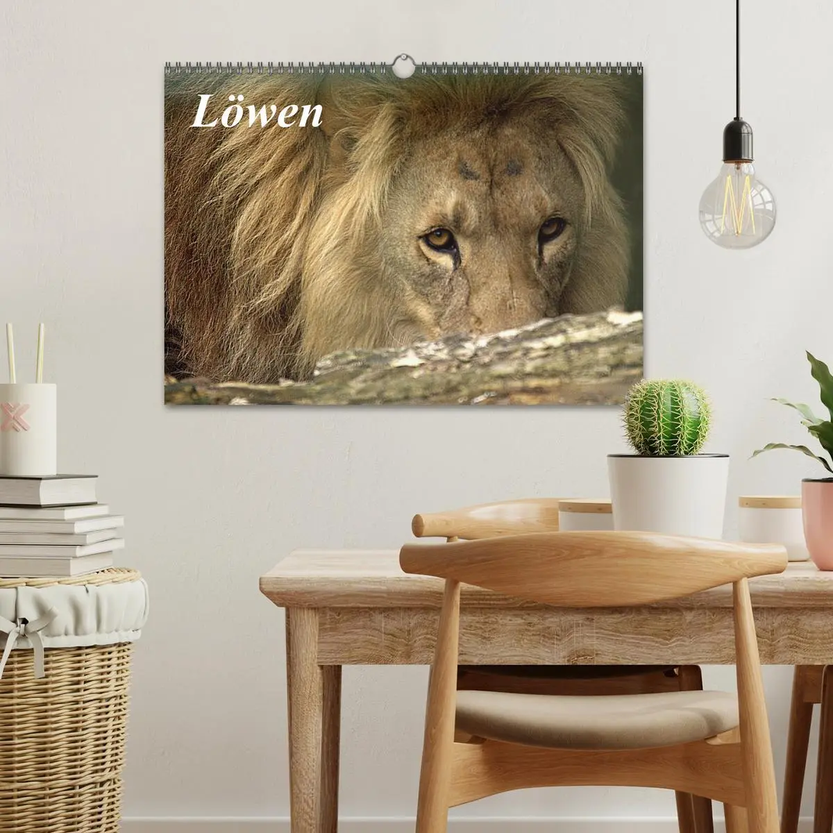 Bild: 9783516190694 | Löwen (Wandkalender 2026 DIN A3 quer), CALVENDO Monatskalender | Klatt