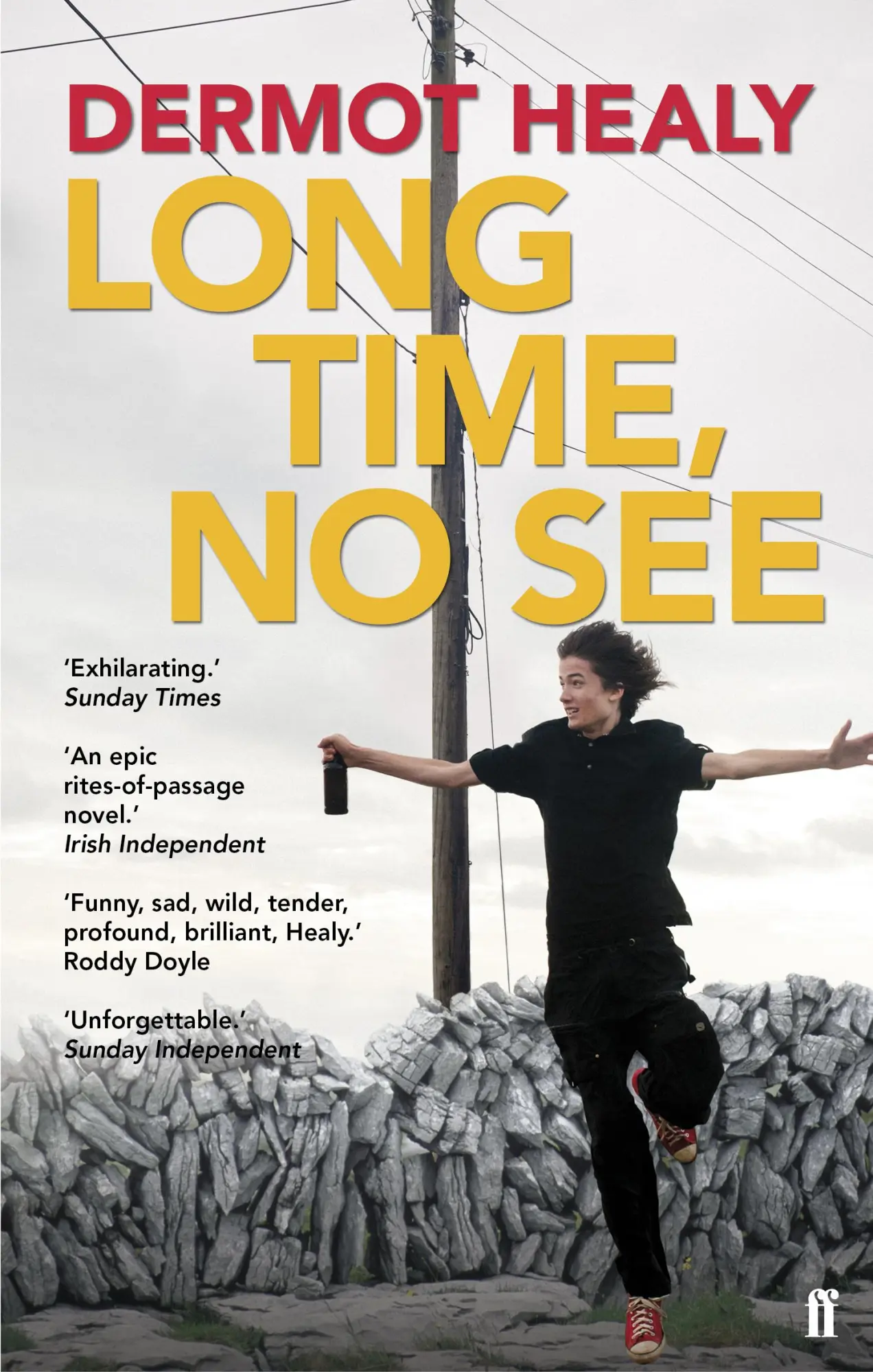Cover: 9780571210794 | Long Time, No See | Dermot Healy | Taschenbuch | Englisch | 2012