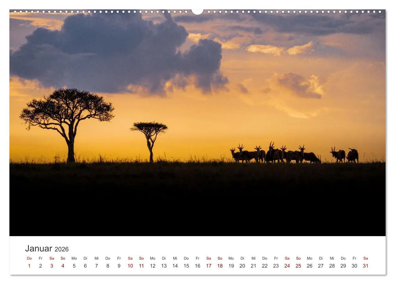 Bild: 9783457610794 | Kenia - Eine Safari durch unberührte Natur. (Wandkalender 2026 DIN...