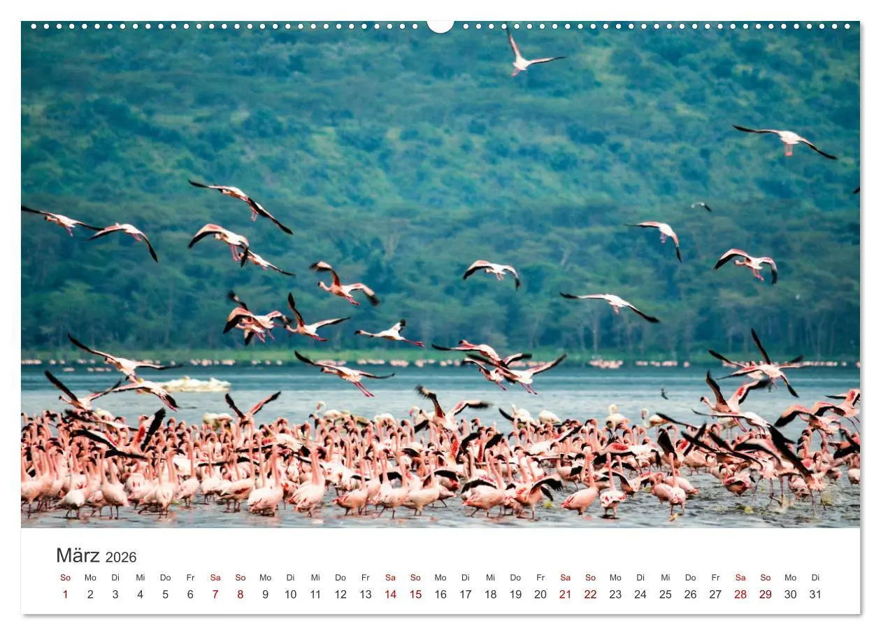Bild: 9783457610794 | Kenia - Eine Safari durch unberührte Natur. (Wandkalender 2026 DIN...