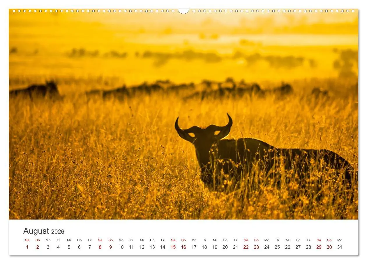 Bild: 9783457610794 | Kenia - Eine Safari durch unberührte Natur. (Wandkalender 2026 DIN...