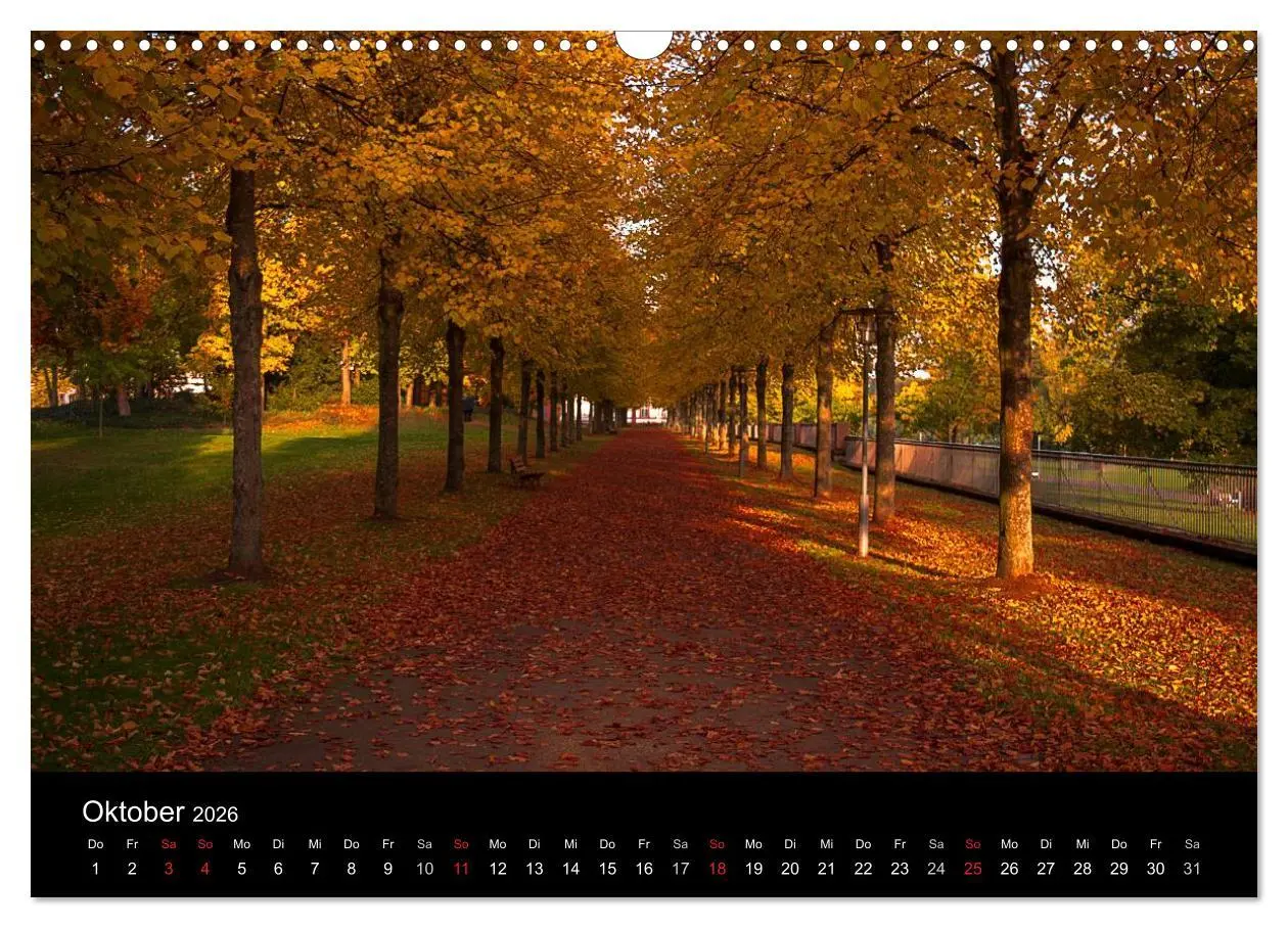 Bild: 9783516010794 | Hanau und Umgebung (Wandkalender 2026 DIN A3 quer), CALVENDO...