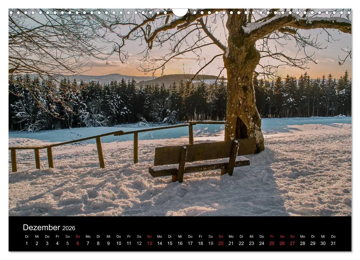 Bild: 9783516010794 | Hanau und Umgebung (Wandkalender 2026 DIN A3 quer), CALVENDO...