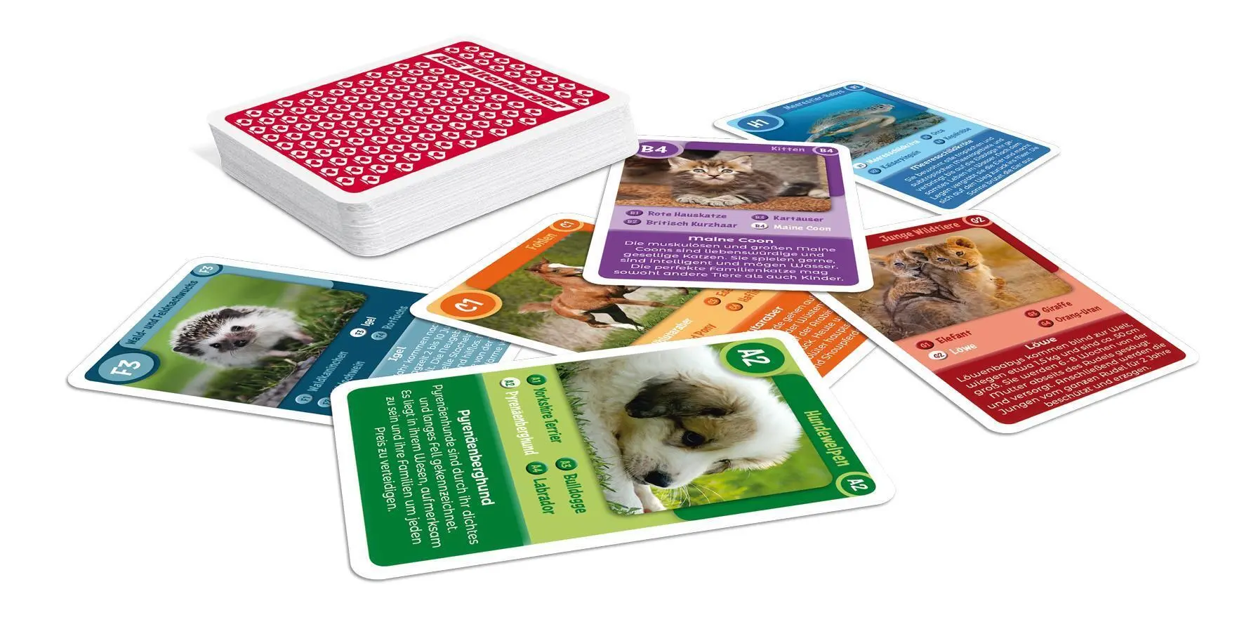 Bild: 4042677720894 | Tier-Quartett - Tierkinder | Spielkartenfabrik Altenburg GmbH | Spiel