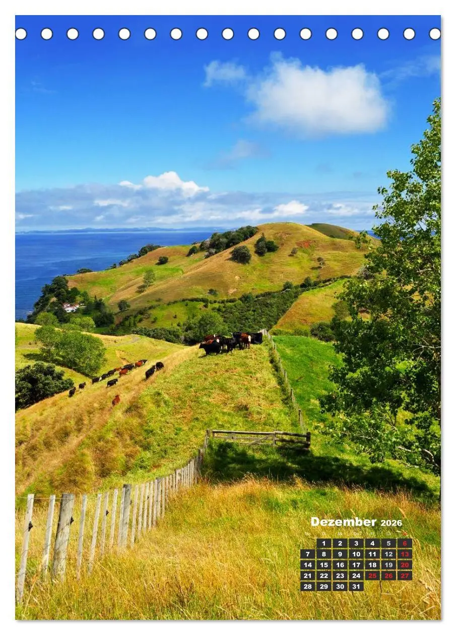 Bild: 9783516480894 | Reise durch Neuseeland (Tischkalender 2026 DIN A5 hoch), CALVENDO...