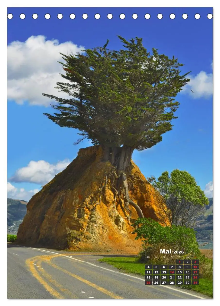 Bild: 9783516480894 | Reise durch Neuseeland (Tischkalender 2026 DIN A5 hoch), CALVENDO...