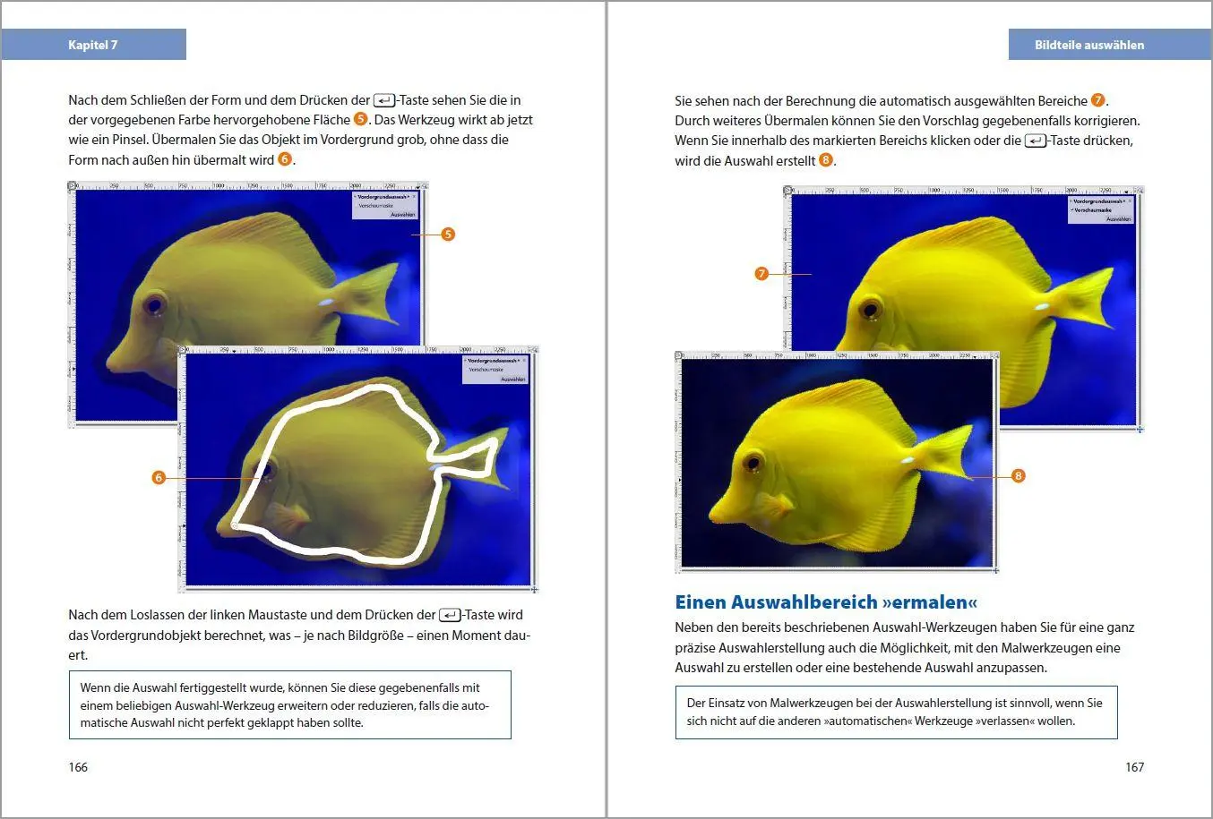 Bild: 9783988100894 | GIMP 3 - Einstieg und Praxis | Michael Gradias | Taschenbuch | 352 S.