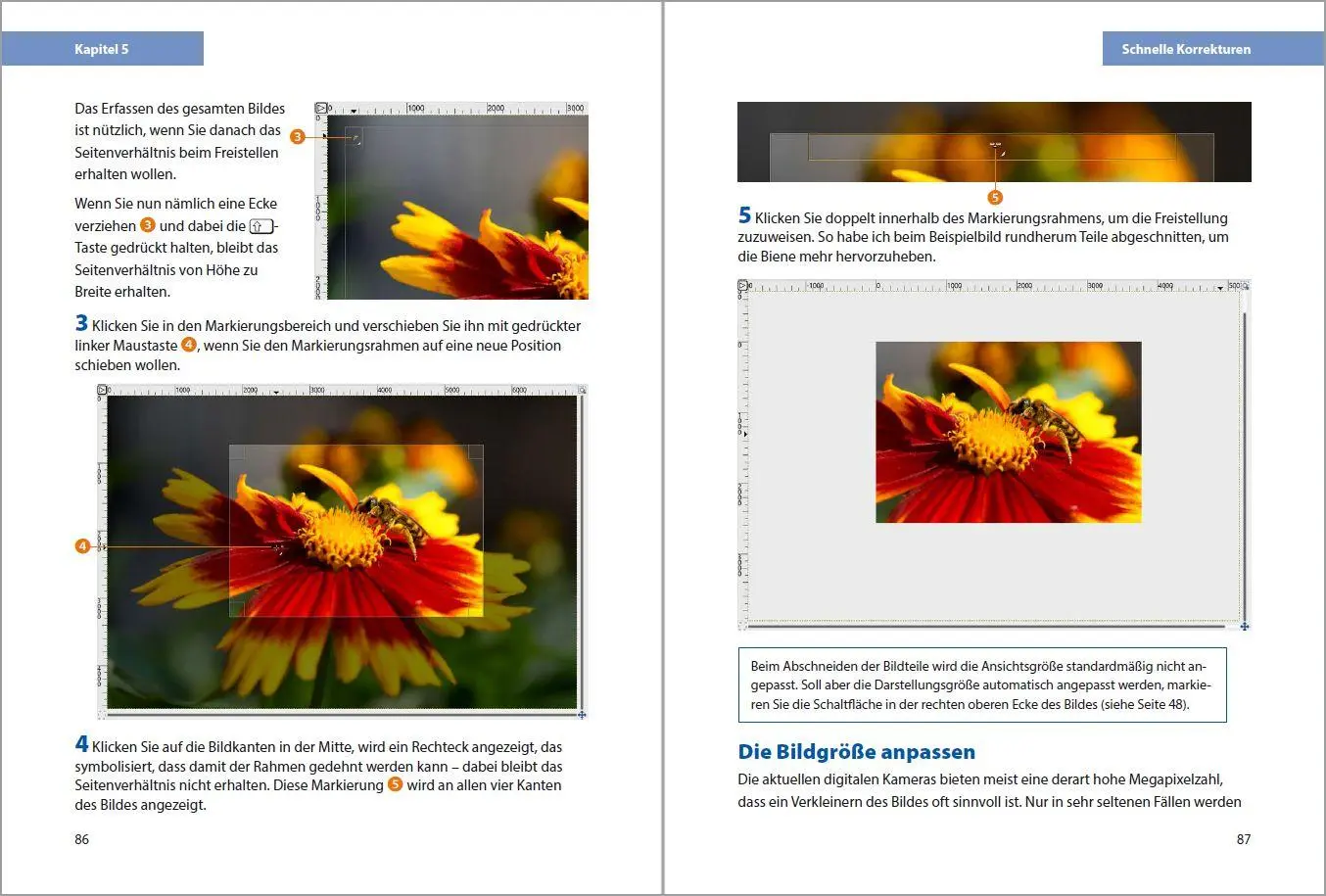 Bild: 9783988100894 | GIMP 3 - Einstieg und Praxis | Michael Gradias | Taschenbuch | 352 S.