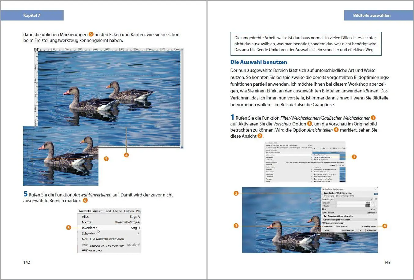 Bild: 9783988100894 | GIMP 3 - Einstieg und Praxis | Michael Gradias | Taschenbuch | 352 S.