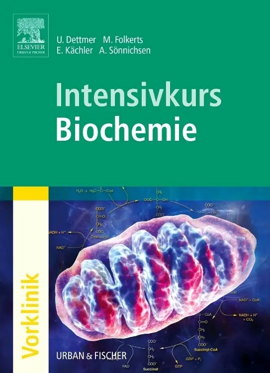 Cover: 9783437410994 | Intensivkurs Biochemie | Andreas Sönnichsen | Taschenbuch | XII | 2005 Cover: 9783437410994 | Intensivkurs Biochemie | Andreas Sönnichsen | Taschenbuch | XII | 2005