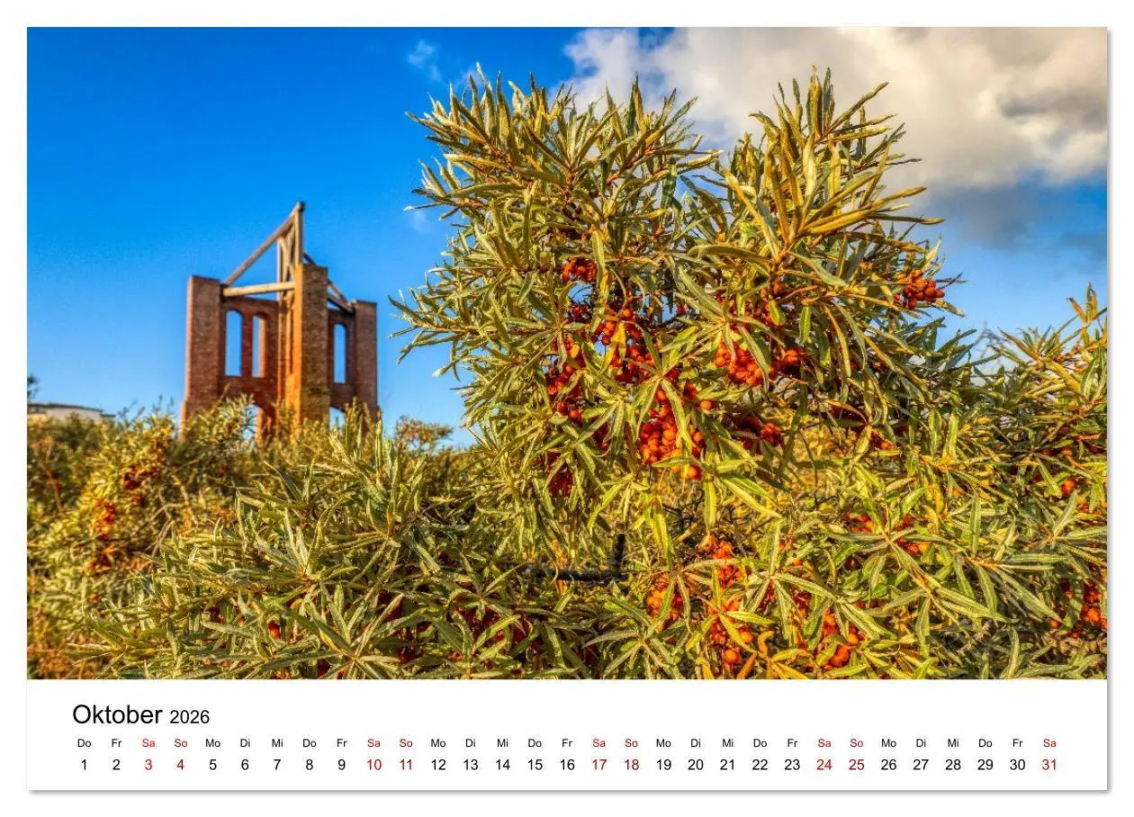 Bild: 9783516610994 | Insel Borkum - Ein Jahr zwischen Wind und Wellen (Wandkalender 2026...