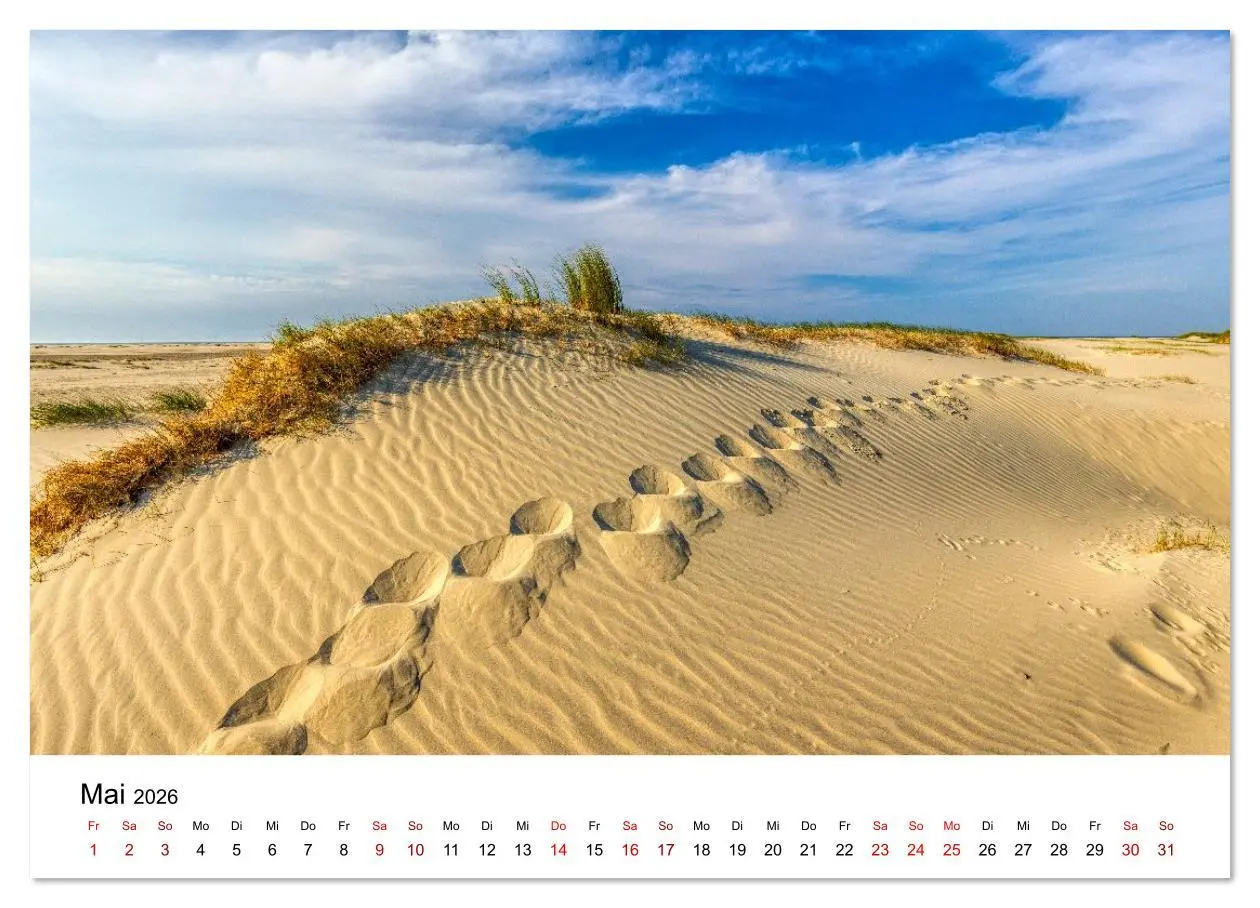 Bild: 9783516610994 | Insel Borkum - Ein Jahr zwischen Wind und Wellen (Wandkalender 2026...