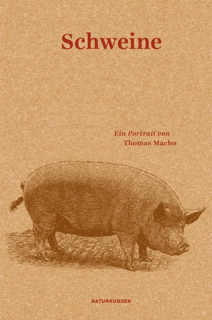 Cover: 9783957570994 | Schweine | Ein Portrait | Thomas Macho | Buch | Naturkunden | 155 S.