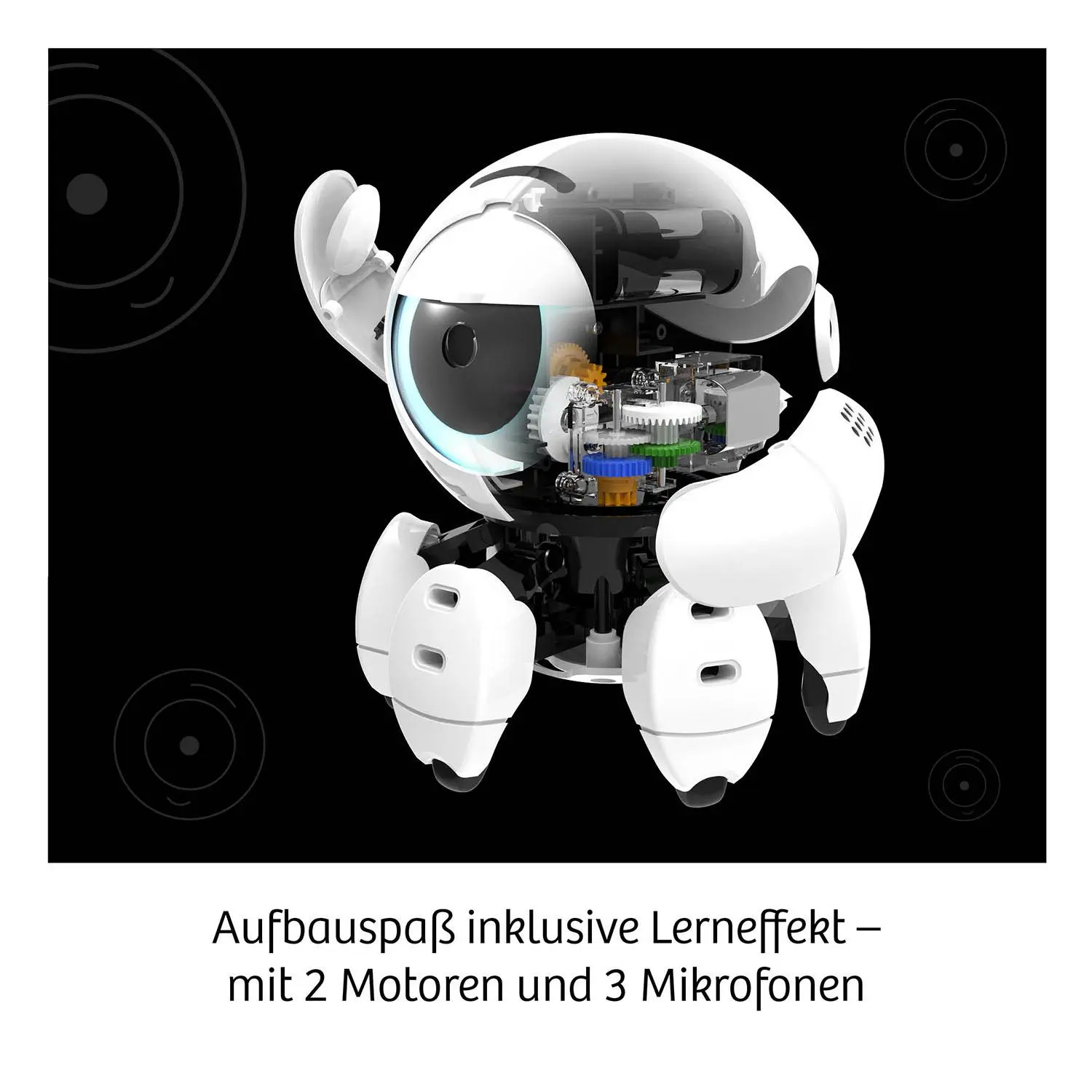Bild: 4002051621094 | Bitsy - Experimentierkasten | Spiel | Brettspiel | 621094 | Deutsch