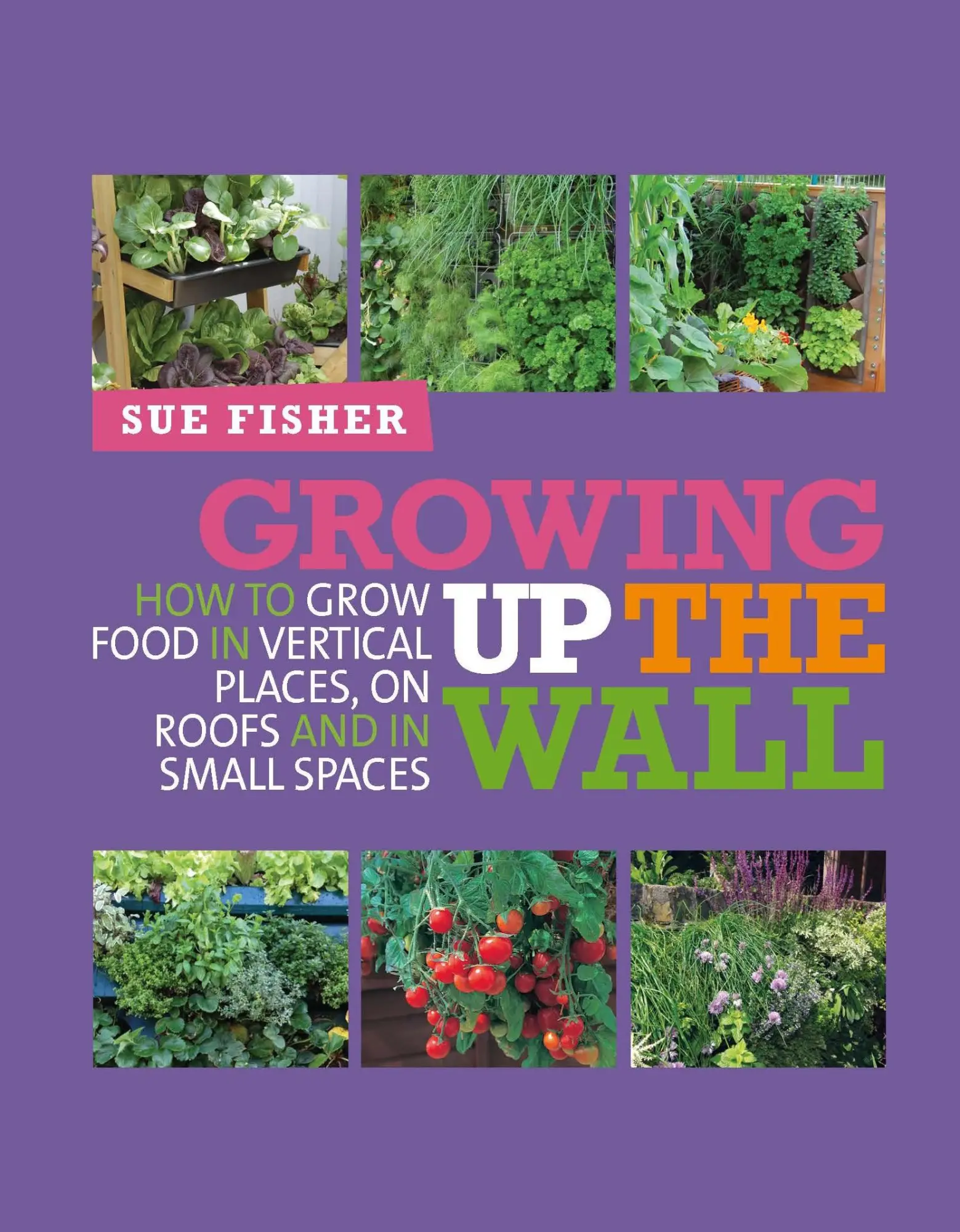 Cover: 9780857841094 | Growing Up the Wall | Sue Fisher | Taschenbuch | Englisch | 2013