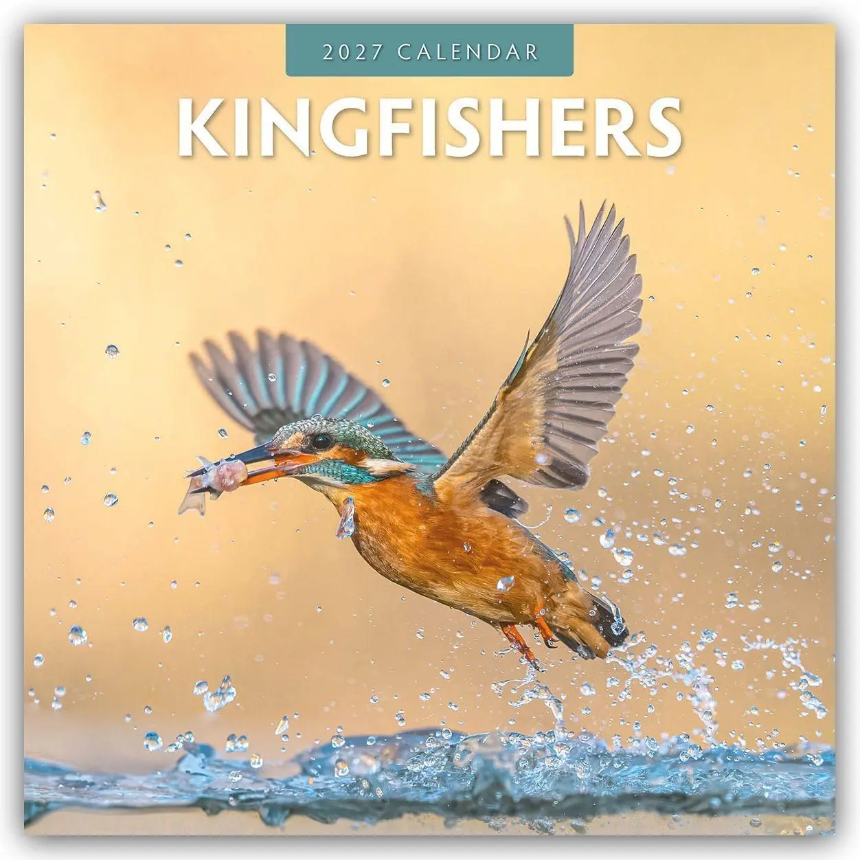 Cover: 9781837011094 | Kingfishers - Eisvögel 2027 - 16-Monatskalender | Robin Red | Kalender