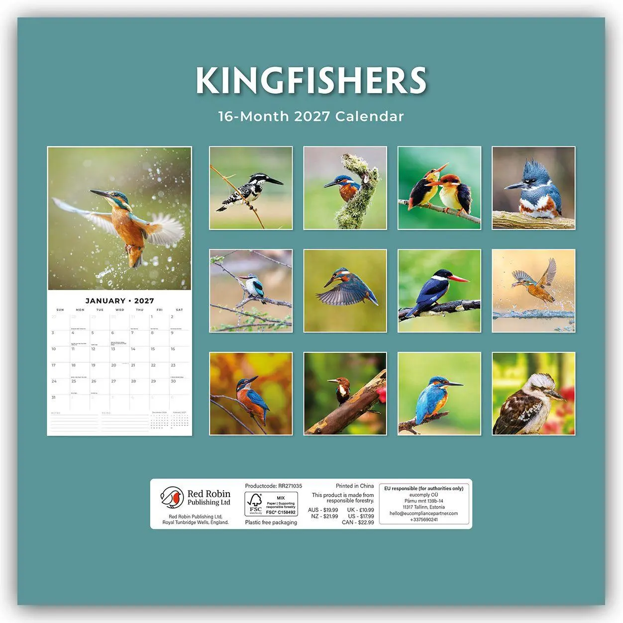 Rückseite: 9781837011094 | Kingfishers - Eisvögel 2027 - 16-Monatskalender | Robin Red | Kalender